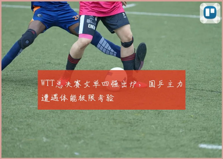 WTT总决赛女单四强出炉，国乒主力遭遇体能极限考验