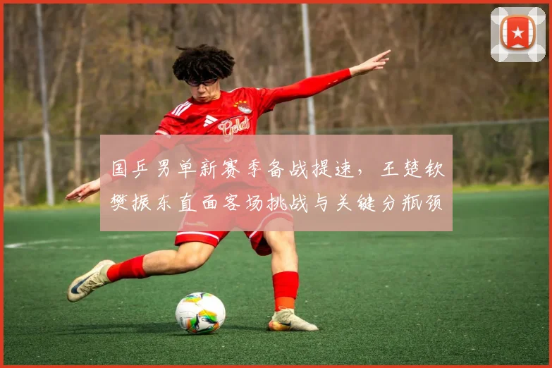 国乒男单新赛季备战提速，王楚钦樊振东直面客场挑战与关键分瓶颈