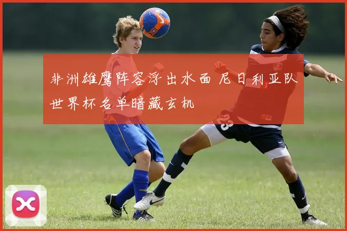 非洲雄鹰阵容浮出水面 尼日利亚队世界杯名单暗藏玄机