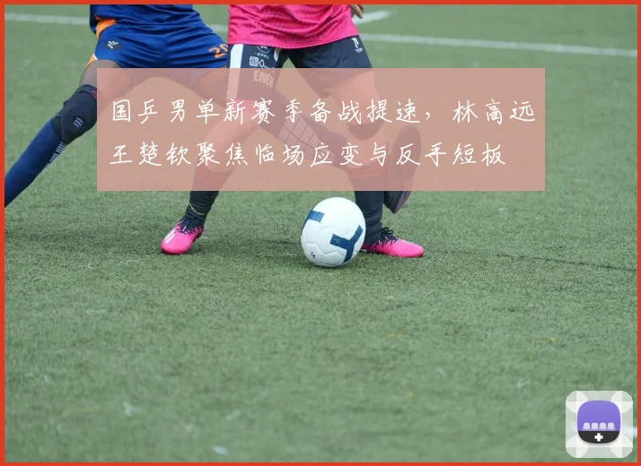 国乒男单新赛季备战提速，林高远王楚钦聚焦临场应变与反手短板